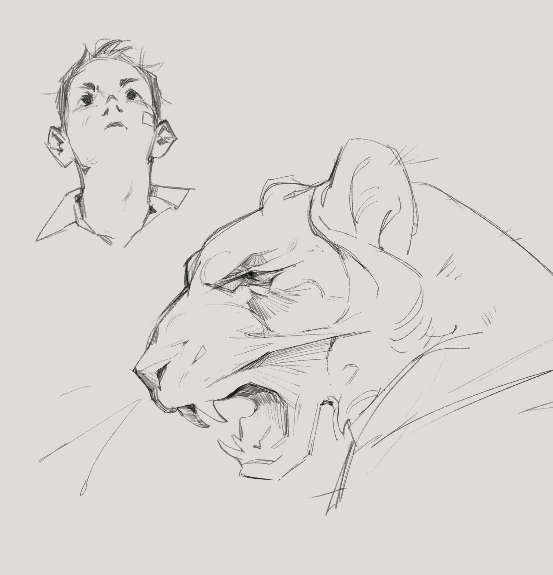 Line warmup Line warmup