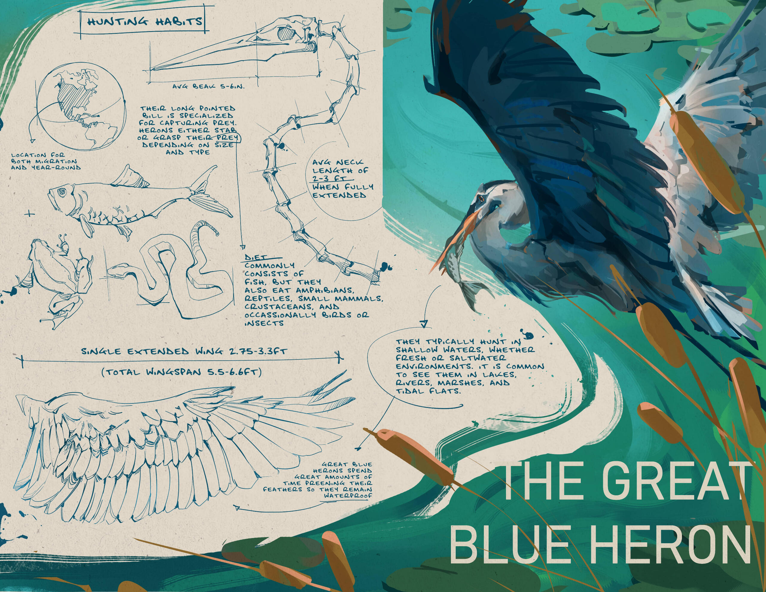 Final illustration spread