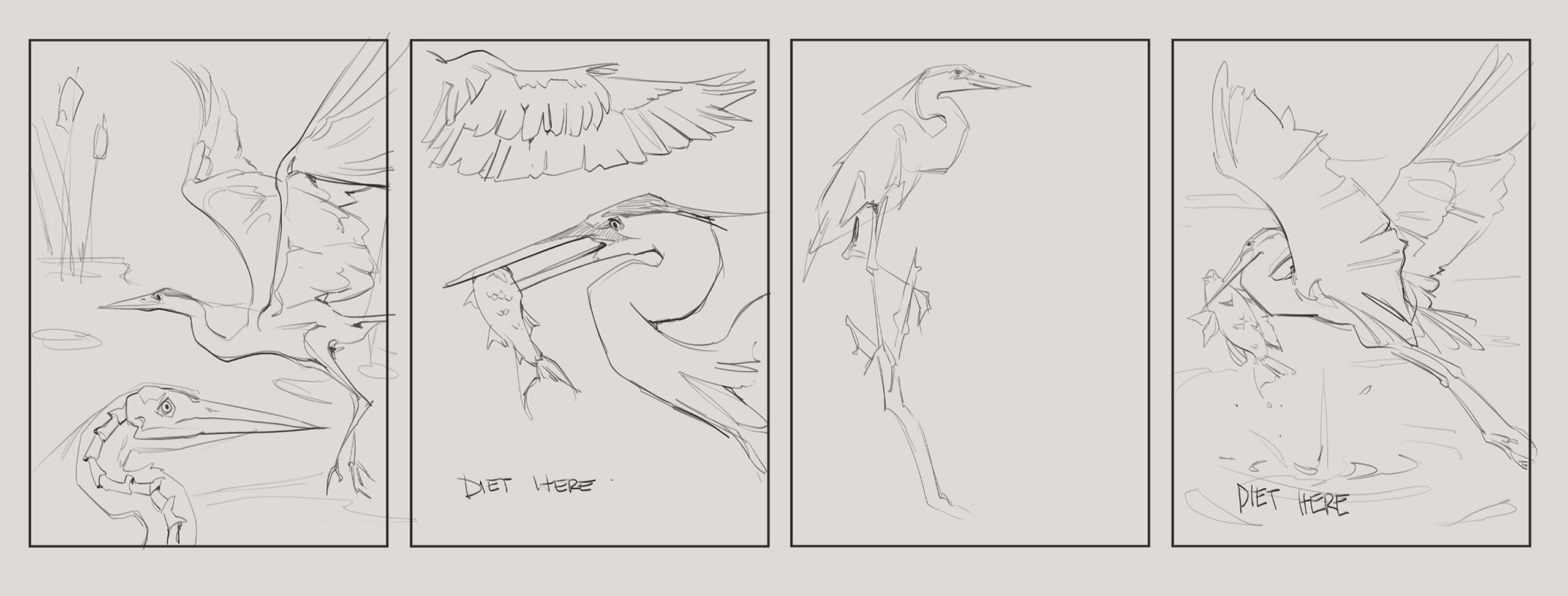 Final concepts